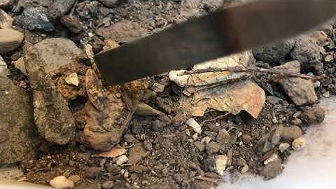 Visual Inspection of a Soil Sample from a Mock Crime Scene