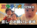 2023年始のゆる動画。広々空間で自由に暴れ回る三つ子の新年がスタート!