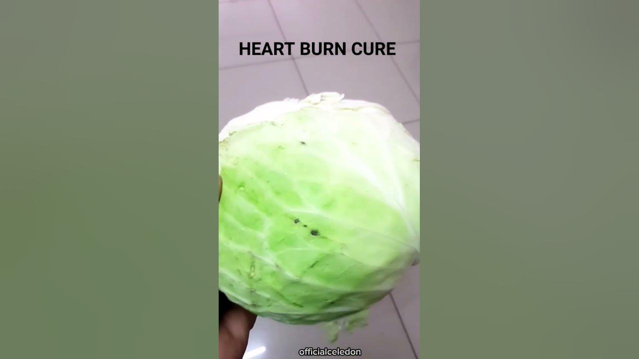 use-of-cabbage-to-cure-heartburn-indigestion-and-stomach-ulcer-ndigbo
