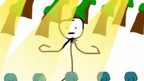 Flash Animation Test