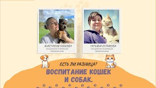 Воспитание собак и кошек в чем разница? Татьяна Куликова и Настя Бобкова.