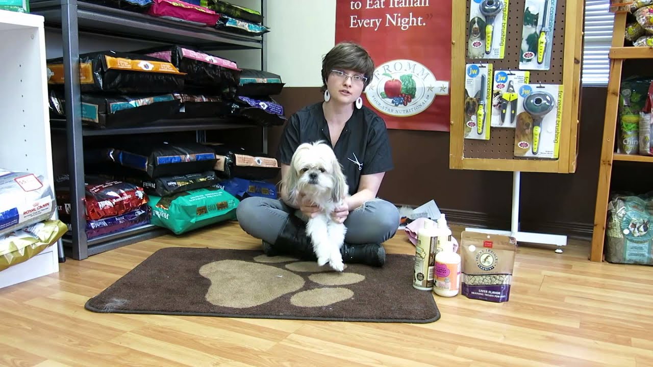 At Home Dog Grooming YouTube