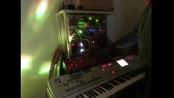 Modular Synth Live Music Grenadine (Self Generating Patch)