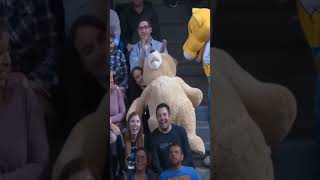 Is this teddy bear big enough?#basketball #fyp #nba short #shorts