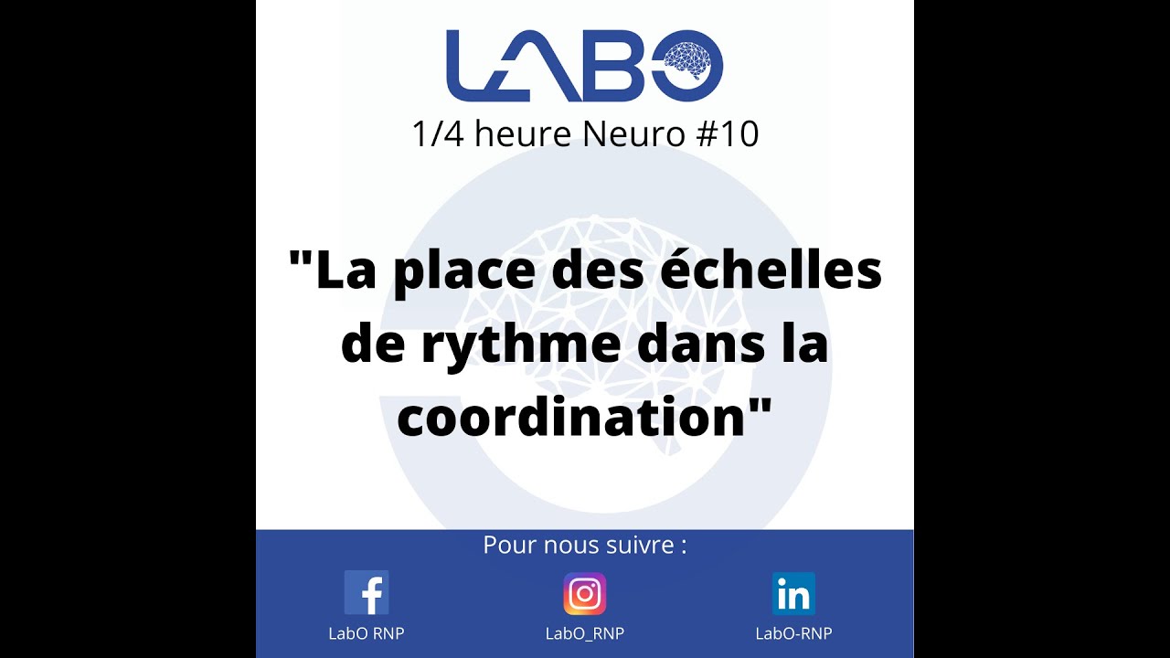 La place des échelles de rythme dans la coordination : le verdict honnête