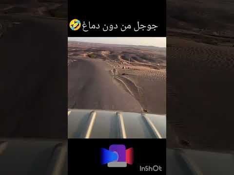 جوجل من دون دماغ ضحك