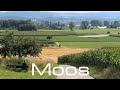 GERMANY: Moos am Bodensee, municipality on Lake Constance 4K