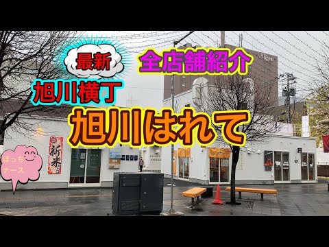 #188【ぼっちナース💉】旭川はれて★全店舗紹介★asahikawa harete★杉村太蔵社長