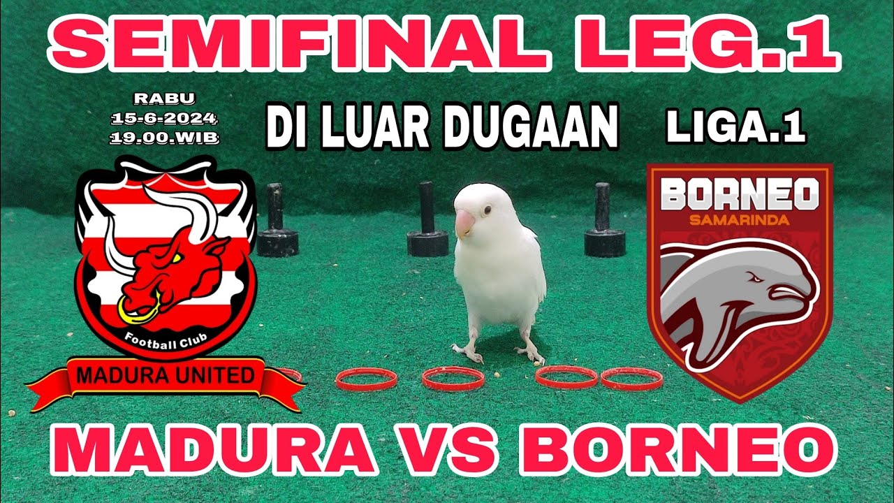 MADURA UNITED VS BORNEO FC || SEMIFINAL LEG.1 LIGA 1 2024 || PREDIKSI MENANG VERSI ARJUNA