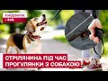Стрілянина у дворі! Як звичайна прогулянка з улюбленцем ледь не закінчилась трагедією!