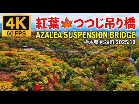 紅葉🍁4K【空撮】つつじ吊り橋（栃木県 那須町）2025.10 [Drone] Azalea Suspension Bridge (Nasu ...