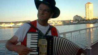 Video thumbnail of "The aniversary waltz / by buskerjames"