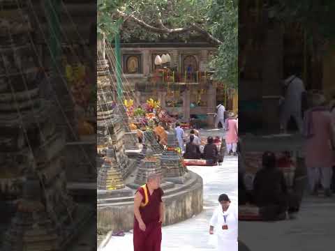 Video: Bodh Gaya în India: un ghid de călătorie