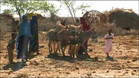 Heat, Rain and Livestock: Impacts of Climate Change on Afric