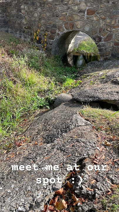 meet me at our spotttt :) | @g1g1-yt444 #music #band #indie