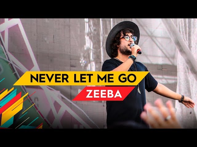 Never Let Me Go - Zeeba - Villa Mix Brasília 2017 ( Ao Vivo )