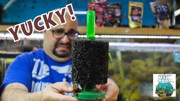 How to Clean a Sponge Filter