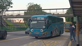 (SMRT) SMB350A On Service 193 At Bus Stop 23371 (Ft PC6581U The Tayo Station Ad Bus)