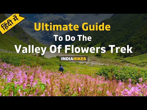 Video: Valley of Flowers National Park: The Complete Guide