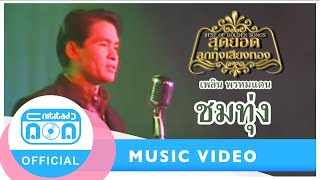 Video-Miniaturansicht von „ชมทุ่ง - เพลิน พรหมแดน [Official Music Video]“