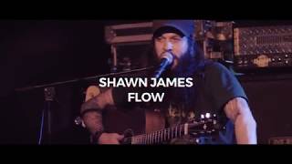 Video voorbeeld van "Shawn James : Flow - HEFT live"