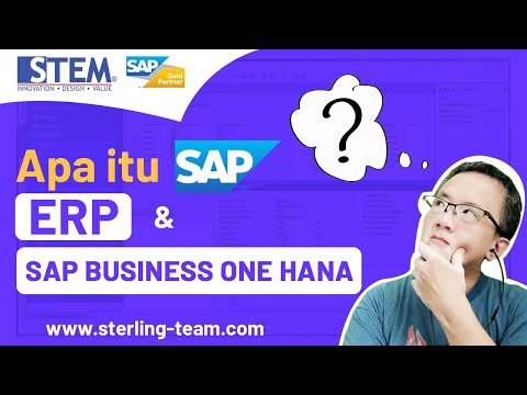 Apa itu SAP, ERP, SAP Business One Hana dan SAP S4/Hana Software?
