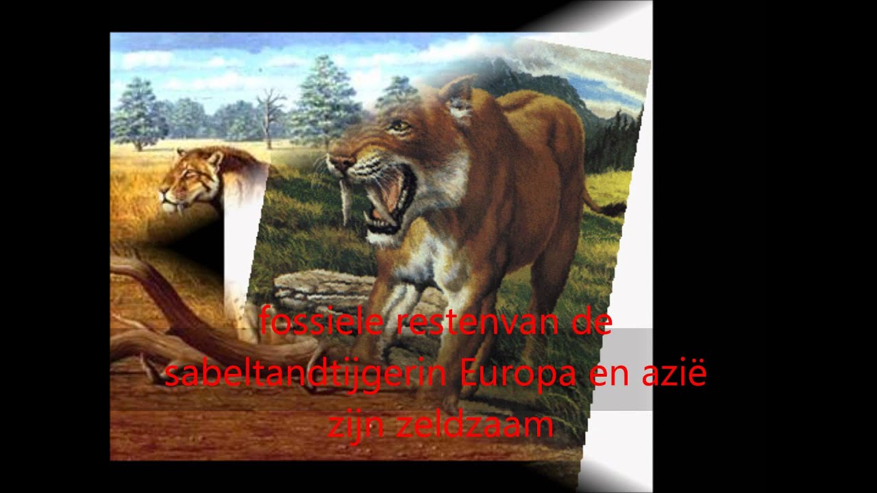 vertelling over een uitgestorven dier - YouTube