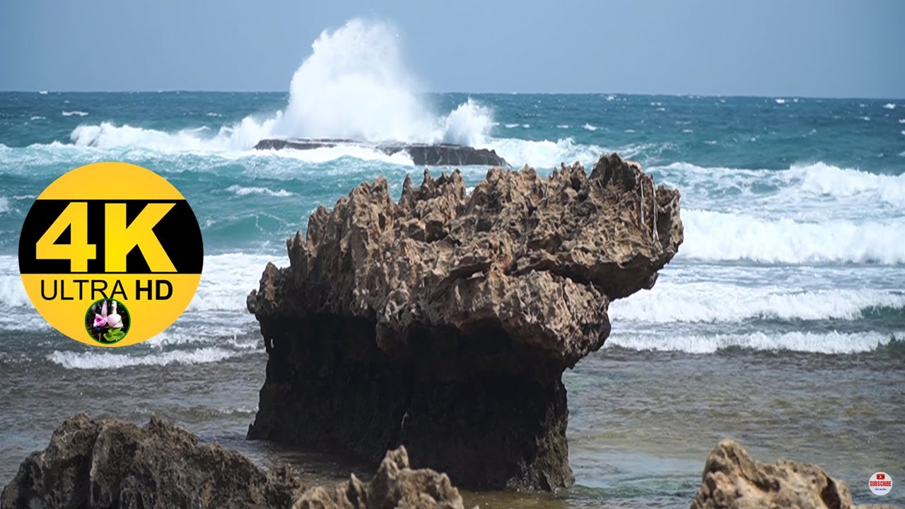 Waves & Seabreezes Tropical (4K UHD) - Ocean Sounds, White Noise for Relaxation, Meditation & Sleep