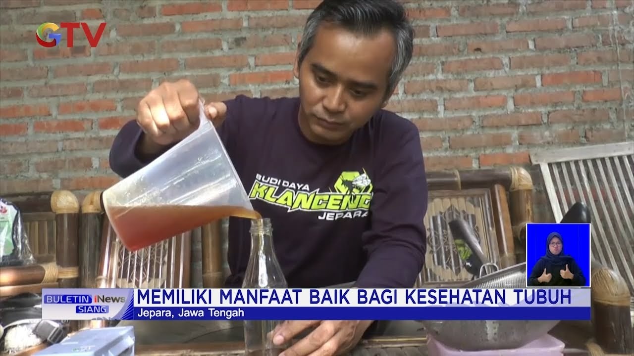 Miliki Nilai Jual Tinggi, Warga Jepara, Jateng Budidaya Lebah Madu Klanceng #BuletiniNewsSiang 11/03