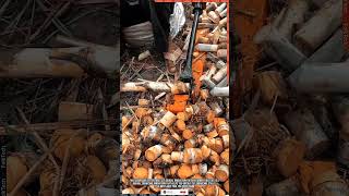 Sugarcane Cutter Tools Manual Sugarcane Innovation