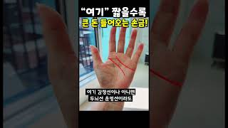 짧을수록 오히려 돈복 터지는 손금이 있다 !!? #shorts