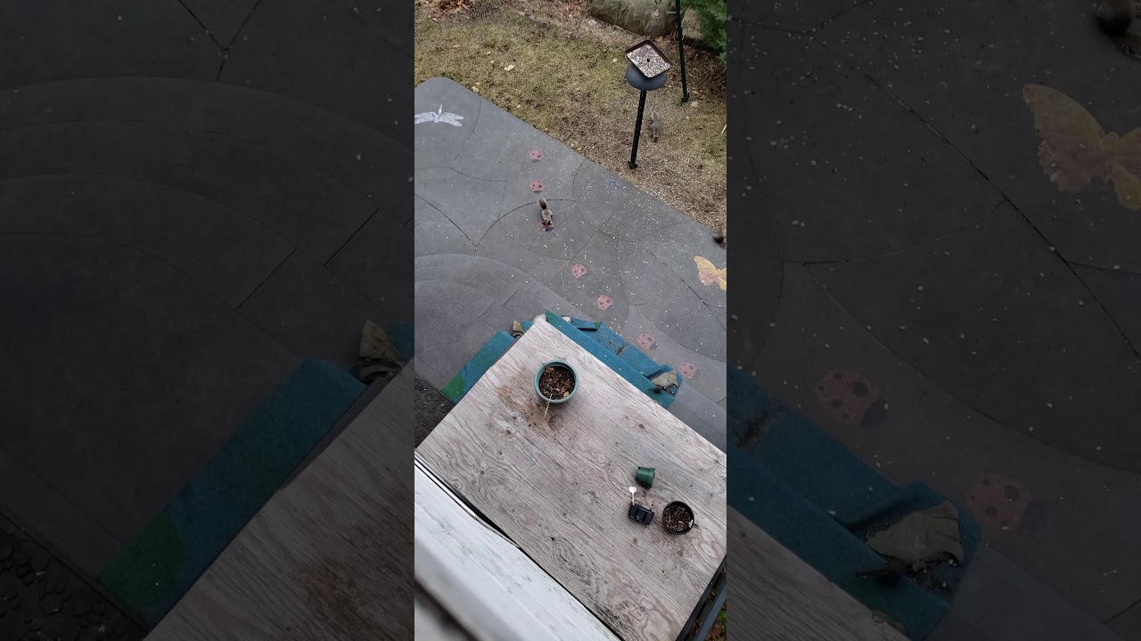 Head injury - YouTube