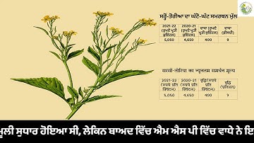 2021-22 रबी विपणन मौसम के दौरान सरसों के दाम एम एस पी से ऊपर