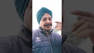 Kuldeep manak song 🎵 ♥️ 🎶 ❤️ 👌 💕 🎵 ♥️ 🎶 ❤️ 👌 💕