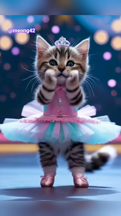 cute cat peekaboo #cutecat #funny #cat #catdance #viralvideo #dancingcat #kitten #funnycats