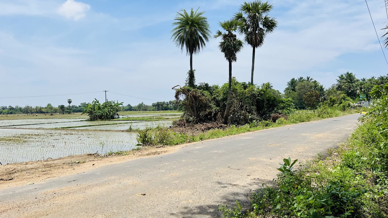 AD172 Agricultural land Sale 1.15 Acres Well Free EB Cheyyur YouTube