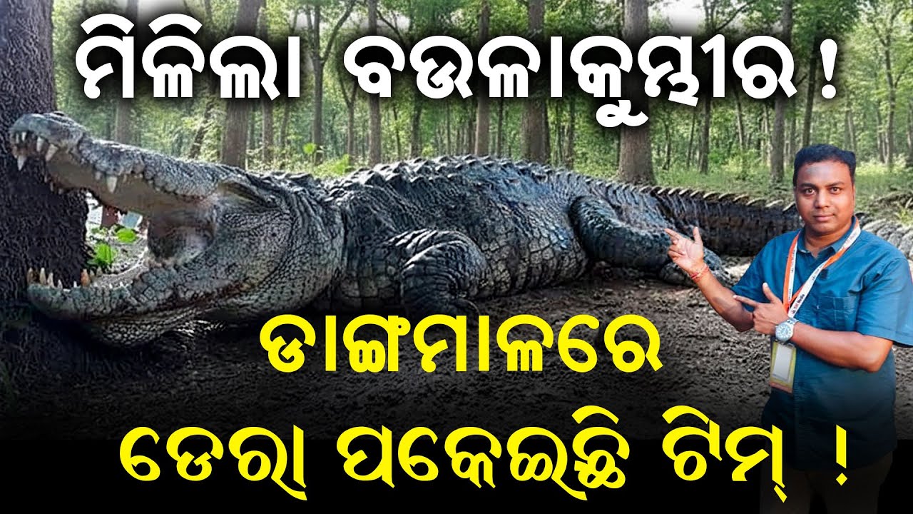 Malika Baula Kumbhira Found ! Team at Dangamala | Malika about Bhitarkanika | @SatyaBhanja