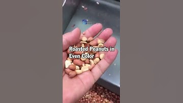 Check Roasted Peanuts in Even Color Peanut Roasting Machine Steady Roasting Result Golden Machinery