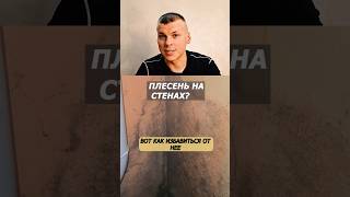 Плесень исчезает на глазах! Проверенный способ очистки стен #какудалитьплесень #lovisovet #плесень