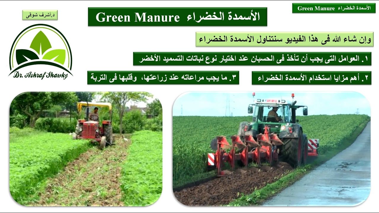 (44) الأسمدة الخضراء  Green Manure | مقرر الزراعة العضوية