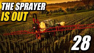 The Sprayer Is Out | Witcombe Park Farm Ep 28 | Farming Simulator 25
