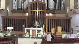 Daily Mass