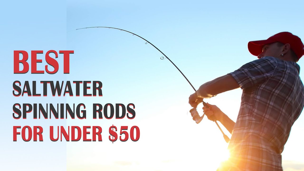 Best Saltwater Spinning Rods for Under $50 - Affordable Options for Your  Next Fishing Adventure! 