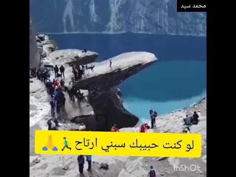 حاله واتس حبيبي يا عمري انا كلي جراح 2019