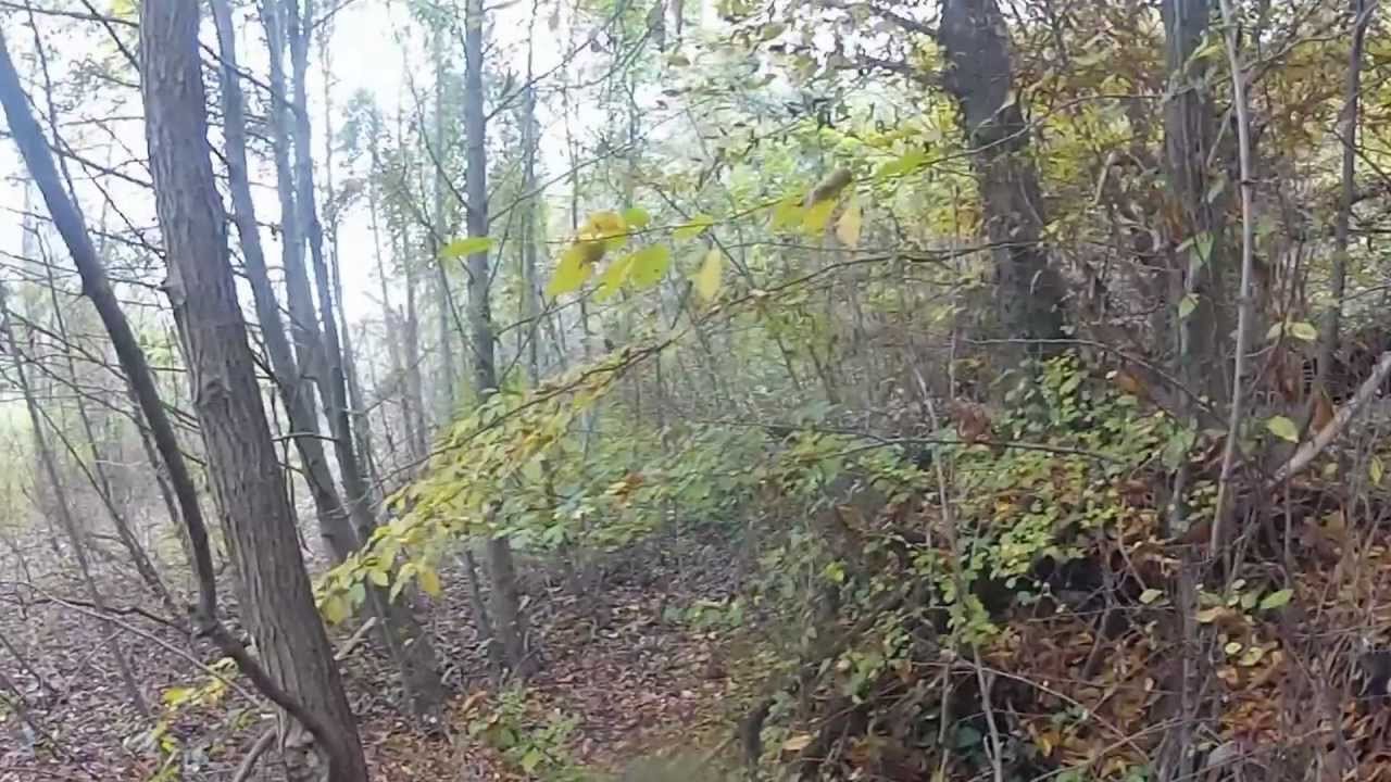 BRIGATA TAURUS BOSCHIVO 3