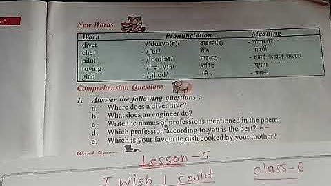 I wish I could class 6 questions and answers