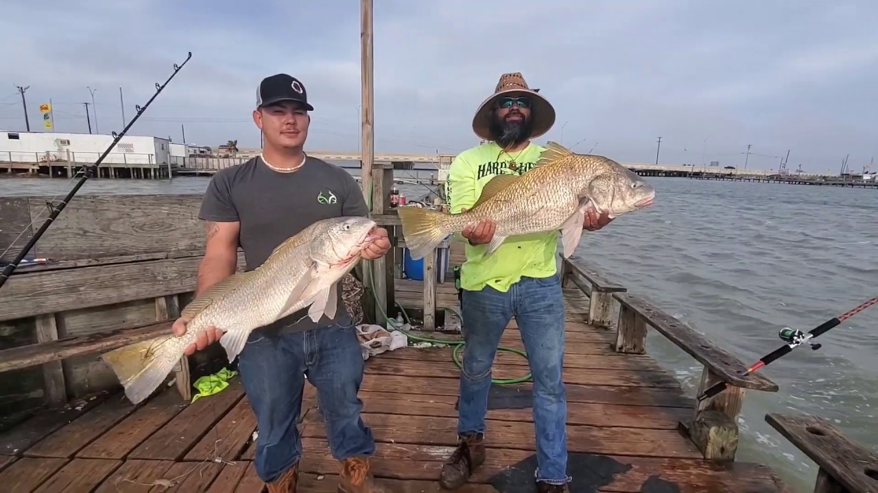 NON STOP Action Saltwater Fishing Cosway Pier On Fire Catching Monsters