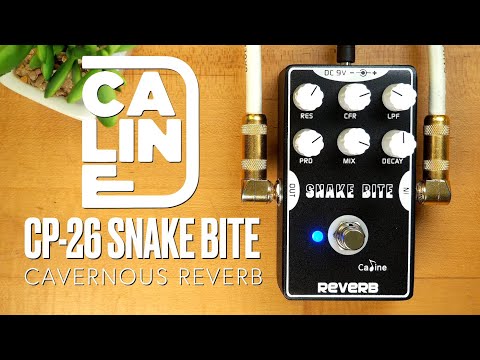space guitar pedal Atmosphere v3 Style:Sherpa Mini (EXT-KIT-86) Marke-Bulls Equipped with 6 creative Ikea cd shelf -