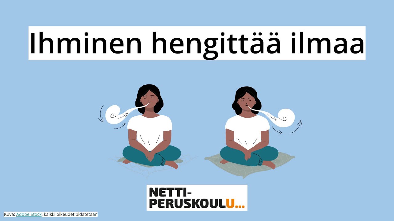ayl1: Ihminen hengittää ilmaa (perusopetus)