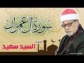 القارئ الشيخ السيد سعيد وماتيسر من سورة ال عمران 